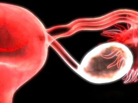 Phát hiện mới mở ra bí ẩn của thời kỳ mãn kinh