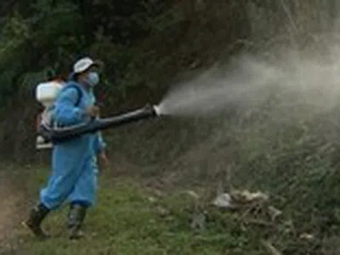 Sốt xuất huyết Dengue: Không còn theo mùa, nguy cơ bùng phát khó lường