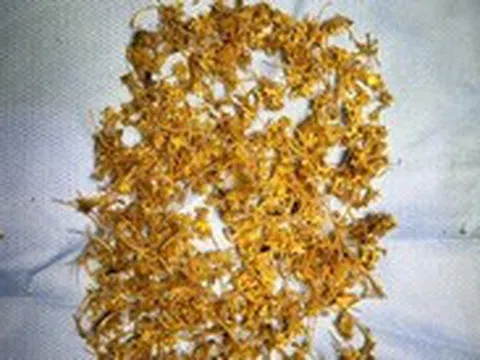 Tắc ruột vì dày đặc mảnh xương nhỏ sau khi ăn rắn bông súng hầm sả