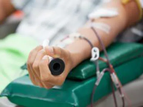 Người trẻ ít hiến máu, Hàn Quốc nguy cơ thiếu máu trong tương lai