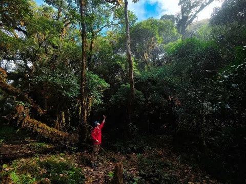 5 cung trekking 'tránh đám đông' dịp 30/4