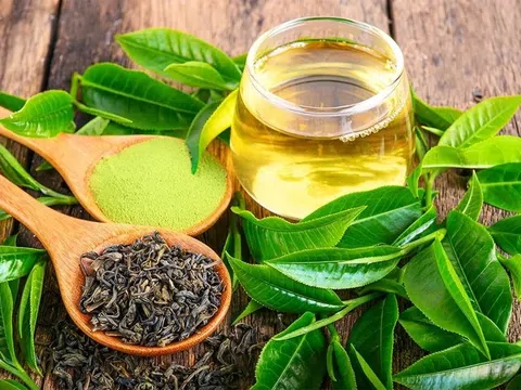Cách hạn chế gan bị tổn thương mùa nóng