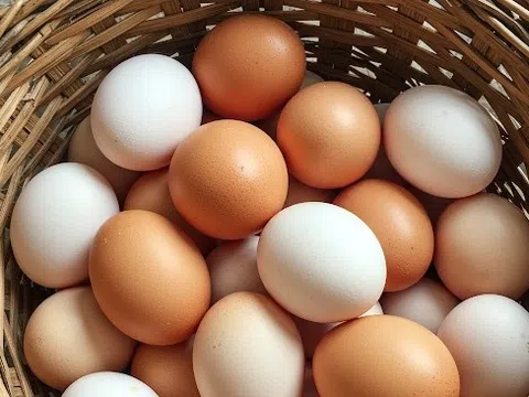 Người mắc bệnh tim có nên ăn trứng?