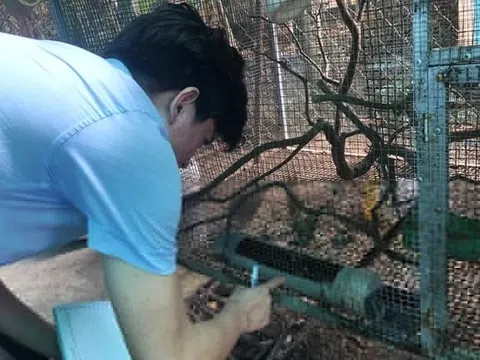 Số ca mắc sốt xuất huyết ở Đồng Nai bất ngờ tăng vọt