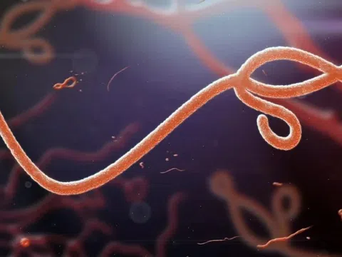 Những virus nguy hiểm nhất từng khiến thế giới chao đảo