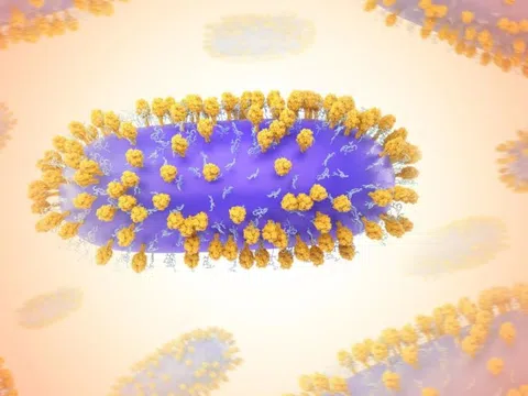 Những điều cần biết về virus RSV
