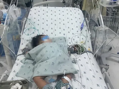 Cứu bé 4,5 tháng tuổi sốc sốt xuất huyết nặng, rối loạn đông máu