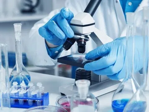 Công ty kiểm nghiệm FAO bị phạt, tước quyền hoạt động 9 tháng