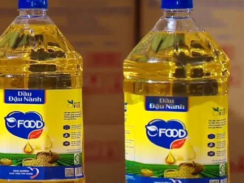 Dầu chăn nuôi thành thực phẩm cho người: Độc cỡ nào?
