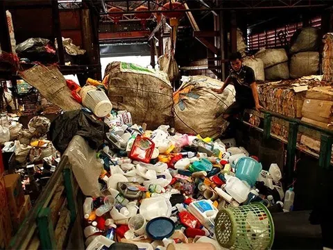 Biến rác thải nhựa thành thuốc giảm đau từ một loại vi khuẩn