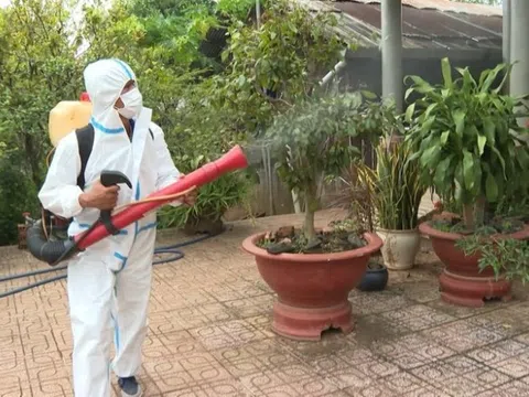 Số ca mắc sốt xuất huyết ở Hà Nội tăng, Covid-19 giảm mạnh