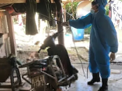 Nghệ An ghi nhận 2 ca viêm não Nhật Bản