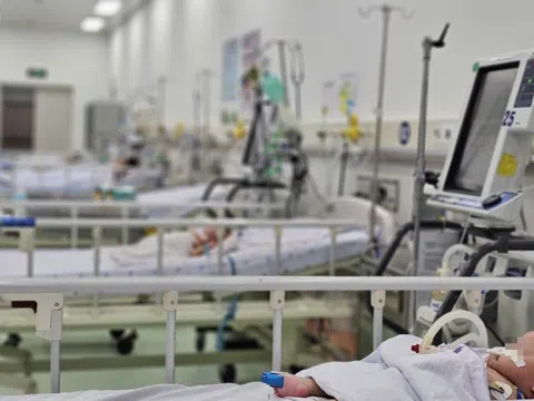 Tình hình sốt xuất huyết đáng lo ngại, TP.HCM ra khuyến cáo