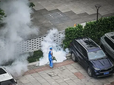 Nguy cơ Chikungunya xâm nhập Việt Nam, Bộ Y tế chỉ đạo khẩn