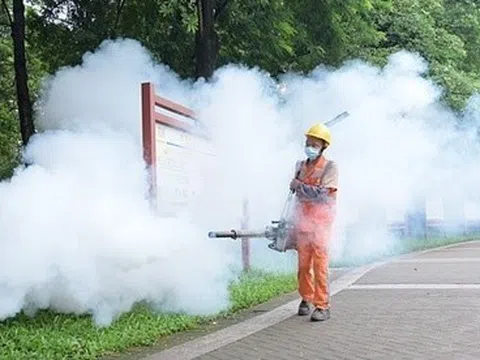 Dấu hiệu cảnh báo bệnh Chikungunya