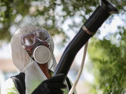 Việt Nam đứng trước nguy cơ xâm nhập bệnh Chikungunya
