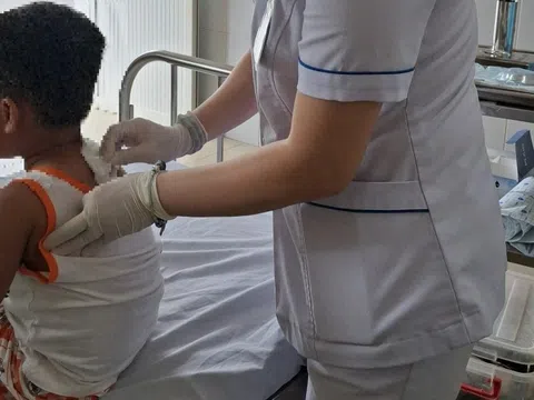 Bé trai bị chó becgie cắn vào cổ