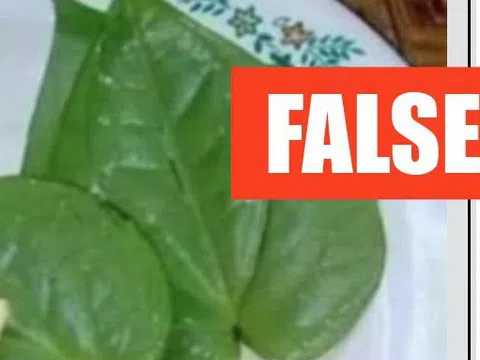 Chuyên gia bác tin tỏi và lá trầu không có thể chữa tiểu đường và cao huyết áp