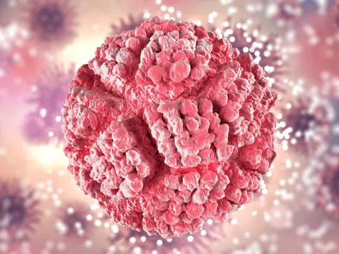 Triệu chứng khi nhiễm virus HPV