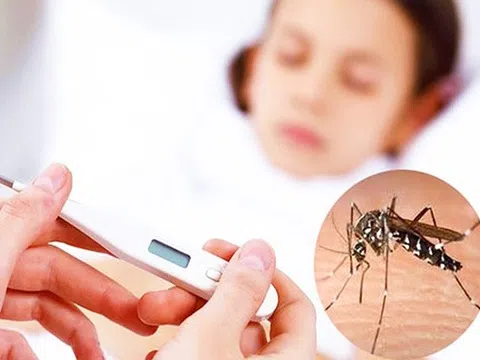 Hà Nội vừa ghi nhận thêm 8 ổ dịch sốt xuất huyết