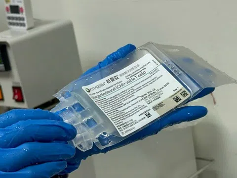 Bộ Y tế yêu cầu rà soát liệu pháp CAR-T cell điều trị bệnh ác tính về máu