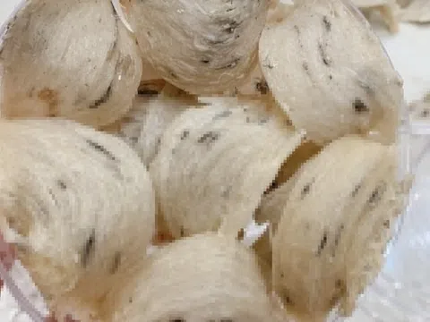 Yến sào bổ dưỡng ra sao