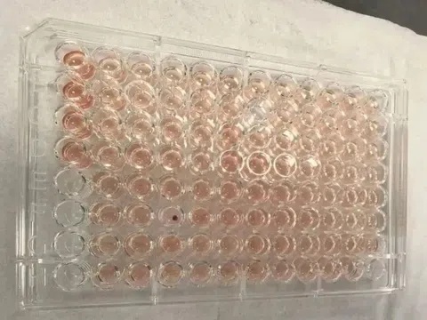 Một người Trung Quốc có 'máu Kim Cương' siêu quý hiếm