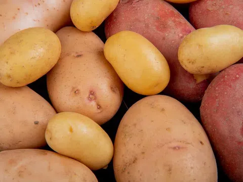 Loại nào tốt hơn: Khoai lang hay khoai tây? Quýt hay cam?