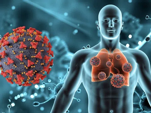 Triệu chứng của viêm gan B giai đoạn đầu