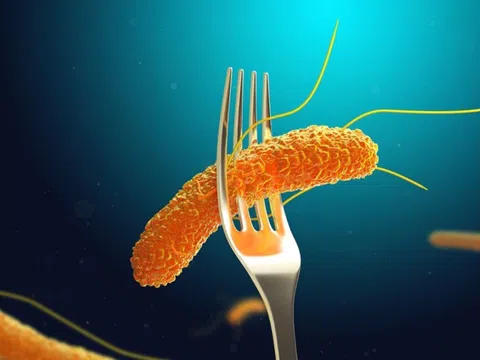 Dấu hiệu cảnh báo nhiễm Salmonella