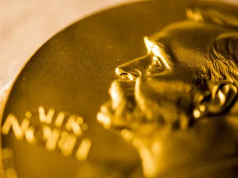 Từ những con chuột đực kỳ lạ đến Nobel Y sinh 2025