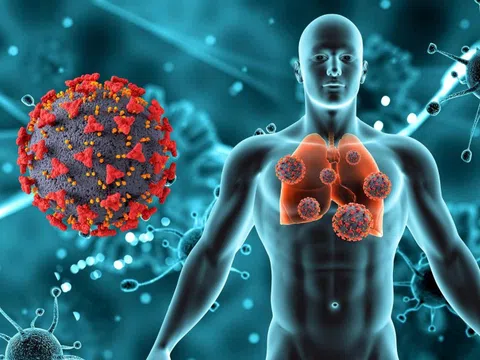 Viêm gan B có chữa khỏi được không?