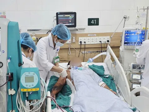 Bị rắn hổ mang cắn nhưng đắp lá điều trị, người đàn ông chết sau 1 tuần