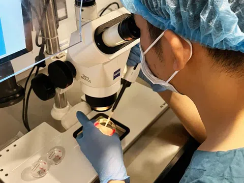 Tin mừng với 'phác đồ Sài Gòn' trong thụ tinh ống nghiệm