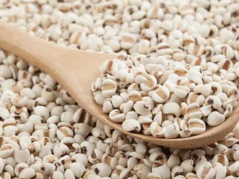 Bộ Y tế thu hồi lô dược liệu ý dĩ hỗ trợ điều trị ung thư không đạt chất lượng