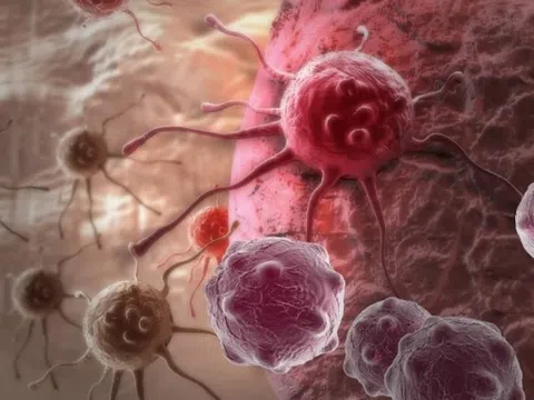 'Siêu vaccine' có thể chặn hoàn toàn sự lây lan của ung thư