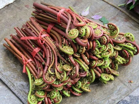 Một loại rau 'đặc sản' chứa độc tố gây ung thư