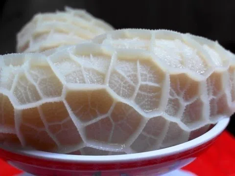 Mẹo chọn sách bò tươi và cách làm trắng, khử mùi không cần hóa chất