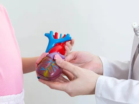 Viêm cơ tim tự miễn: kẻ thù thầm lặng ở trẻ nhỏ