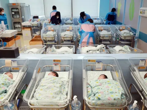 Quốc gia châu Á rúng động vì loạt vụ trao nhầm con