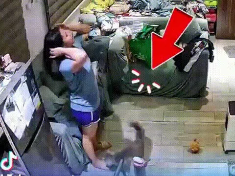 Vì sao mèo 'điên' đột ngột tấn công chủ?