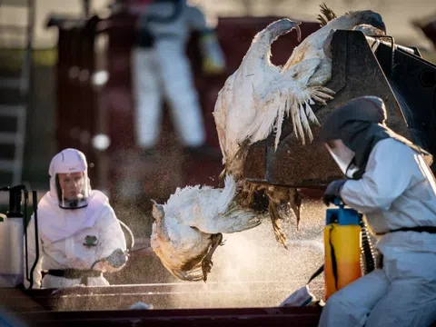 Giới khoa học lo lắng về đại dịch mới