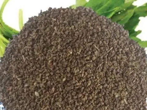 Ai bị mỡ máu cứ dùng hạt rẻ tiền này, từ lá đến rễ đều là thuốc quý