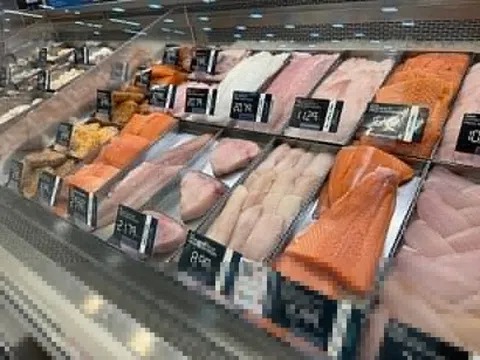 Các loại cá chứa nhiều thủy ngân gây hại cho sức khỏe bạn cần biết