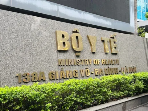 Điều tra vụ nghi ngộ độc sau ăn hạt của cây củ đậu khiến 2 ca hôn mê