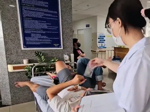 Người Việt ăn gì nhiều nhất, rau, cá hay thịt?