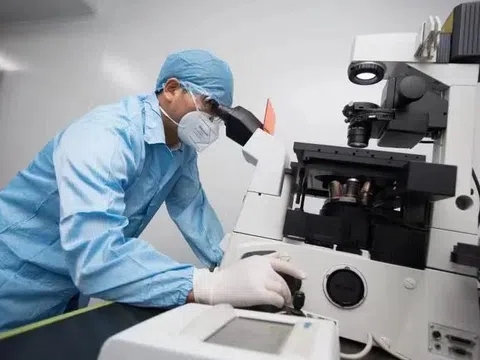 Bản đồ miễn dịch hé lộ điều bất ngờ: Cơ thể người không 'giống nhau' như ta tưởng