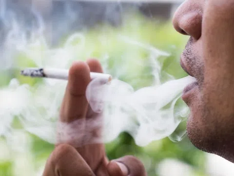 Người Việt tiêu thụ bao nhiêu thuốc lá mỗi năm?