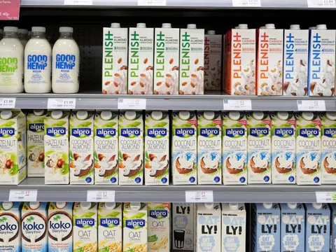 Dùng sữa thực vật thay sữa động vật làm giảm chỉ số IQ của người uống?