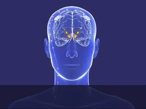 Trung Quốc: Tranh cãi thử nghiệm cấy ghép não điều trị nghiện ma túy